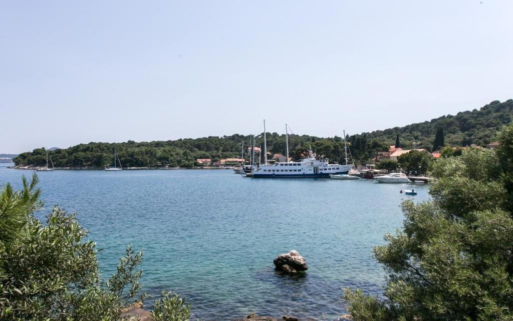 Guest House Zaton - Zaton Veliki Luaran gambar